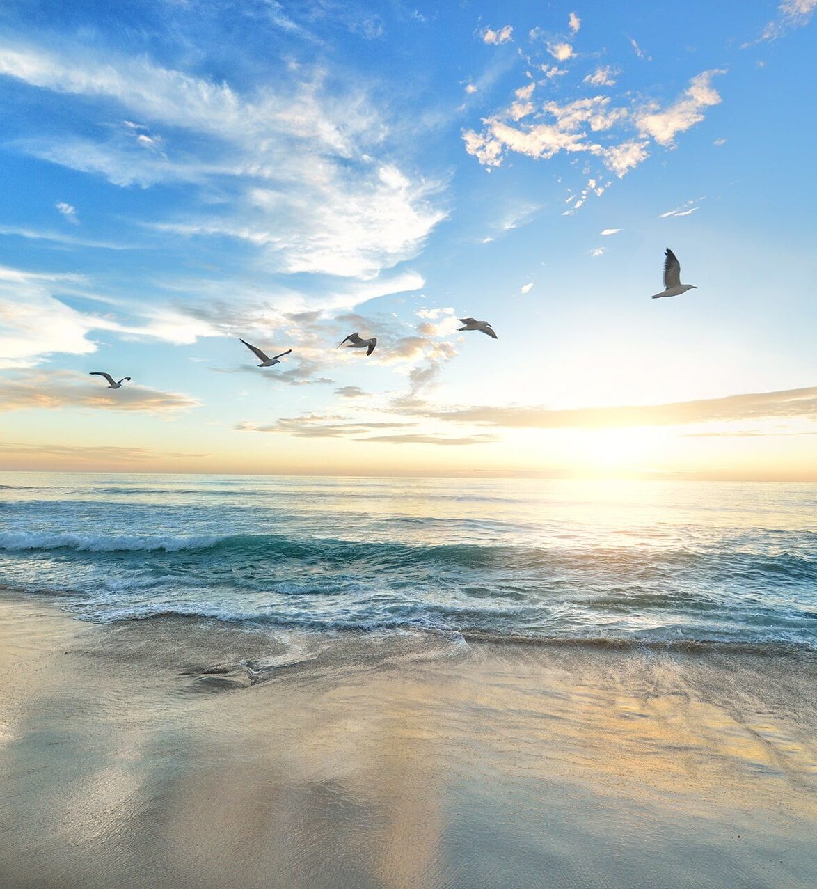 Rapid Transformation Therapy